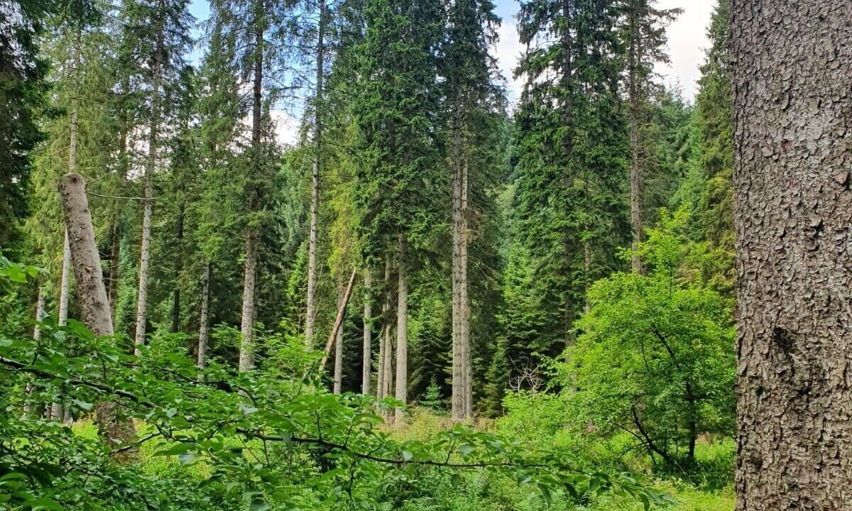 Photo of Outdoor in Sanquhar