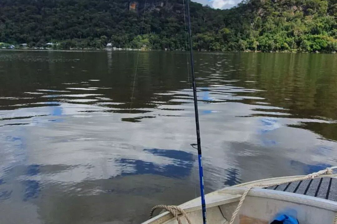 Photo of Others in Milsons Passage