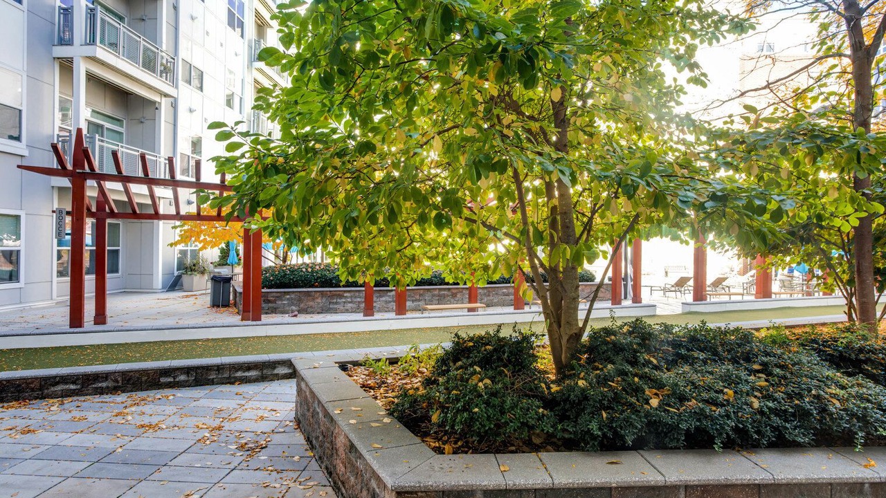 Photo of Outdoor in Cambridge