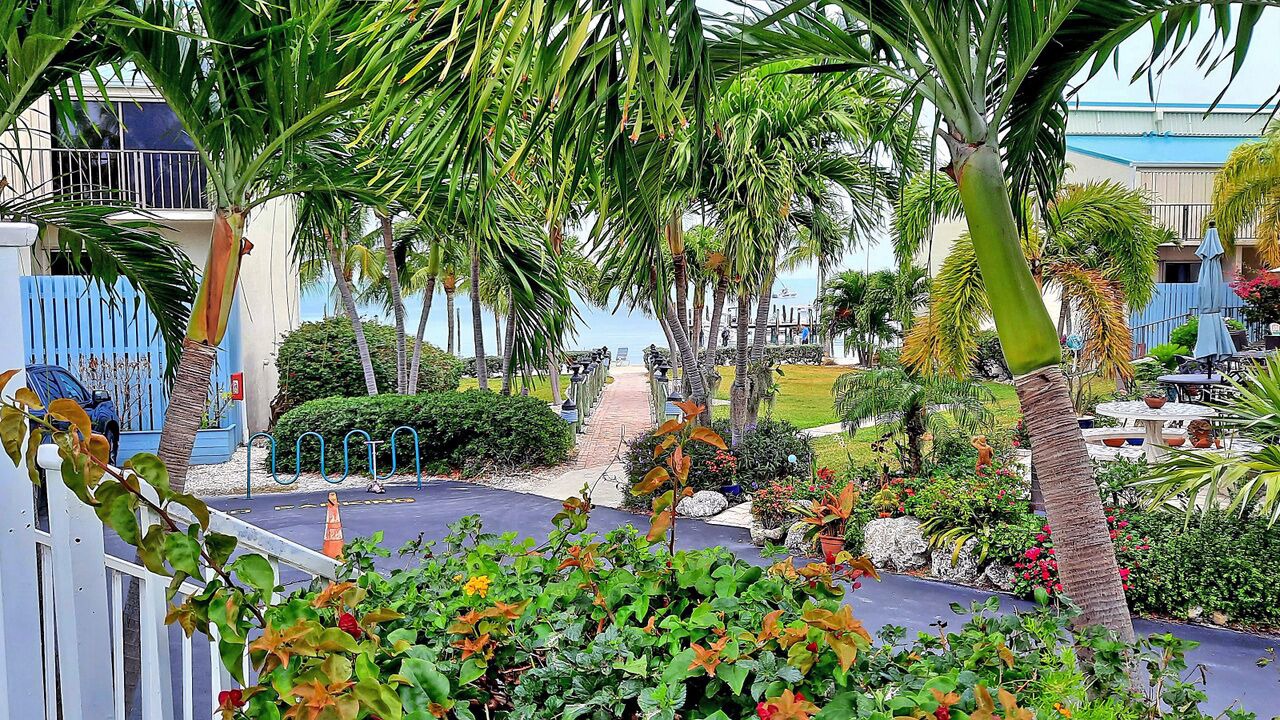 Photo of Outdoor in Islamorada