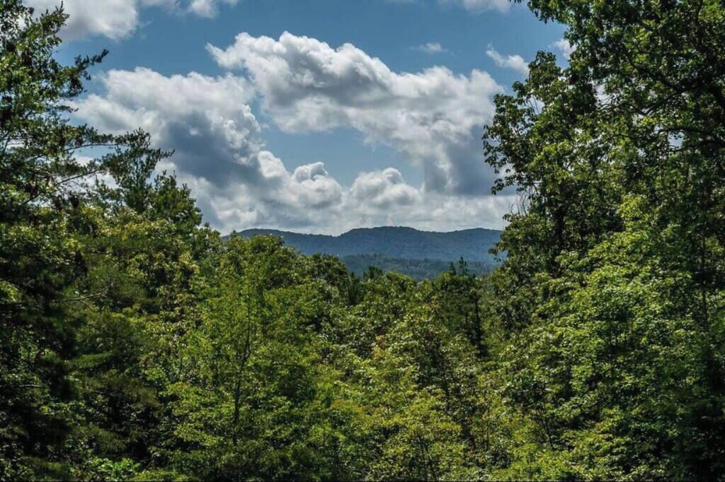 Photo of Others in Mineral Bluff