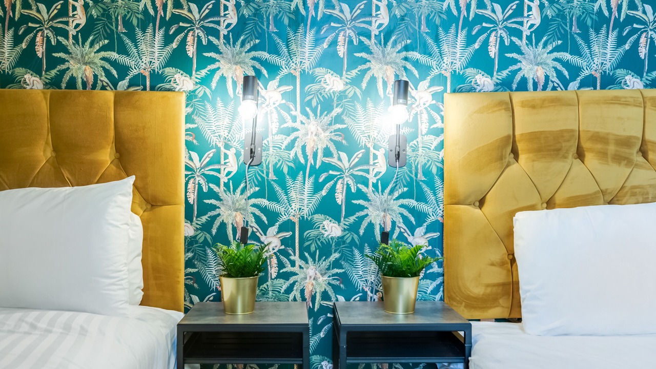 Photo of Others in North Shore