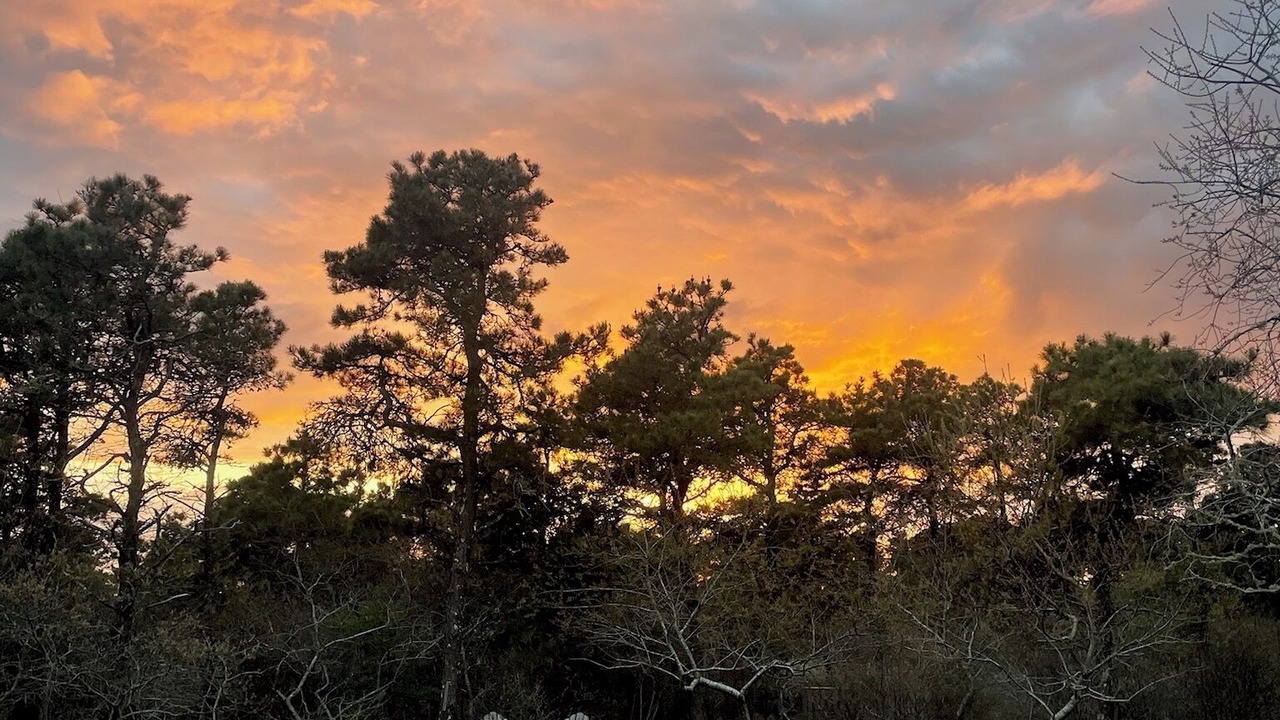 Photo of Outdoor in West of Town