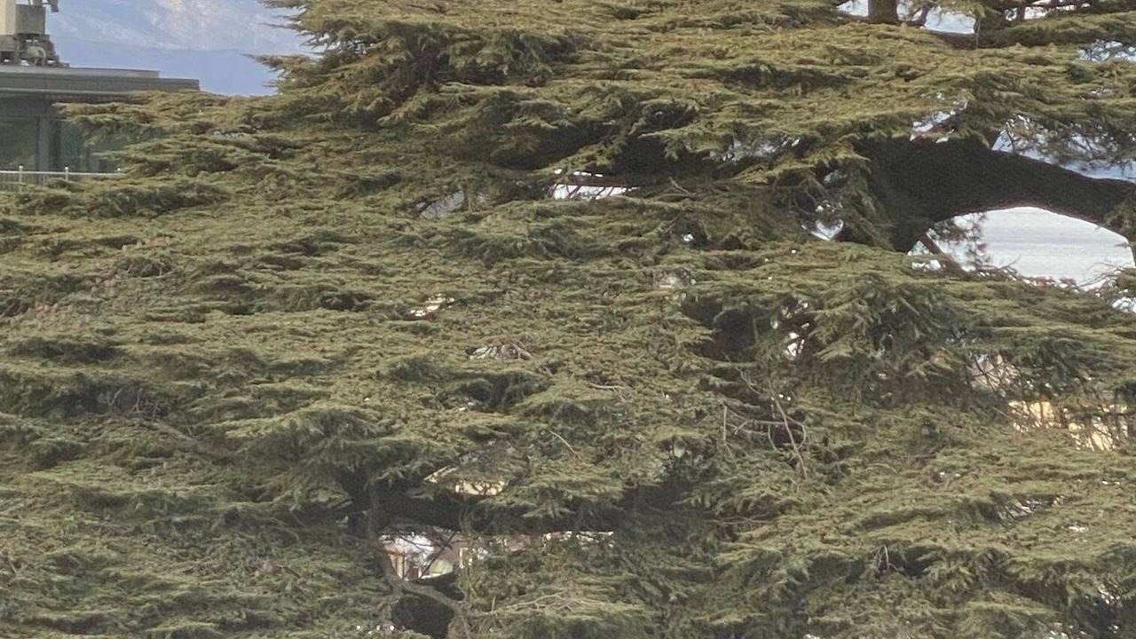 Photo of Others in Les Eaux-Vives