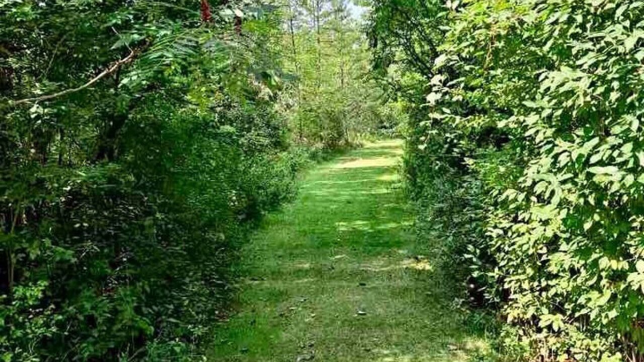 Photo of Outdoor in White Lake