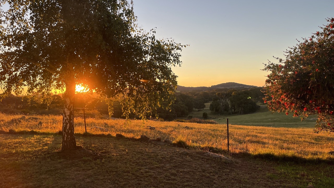 Photo of Others in Boho South