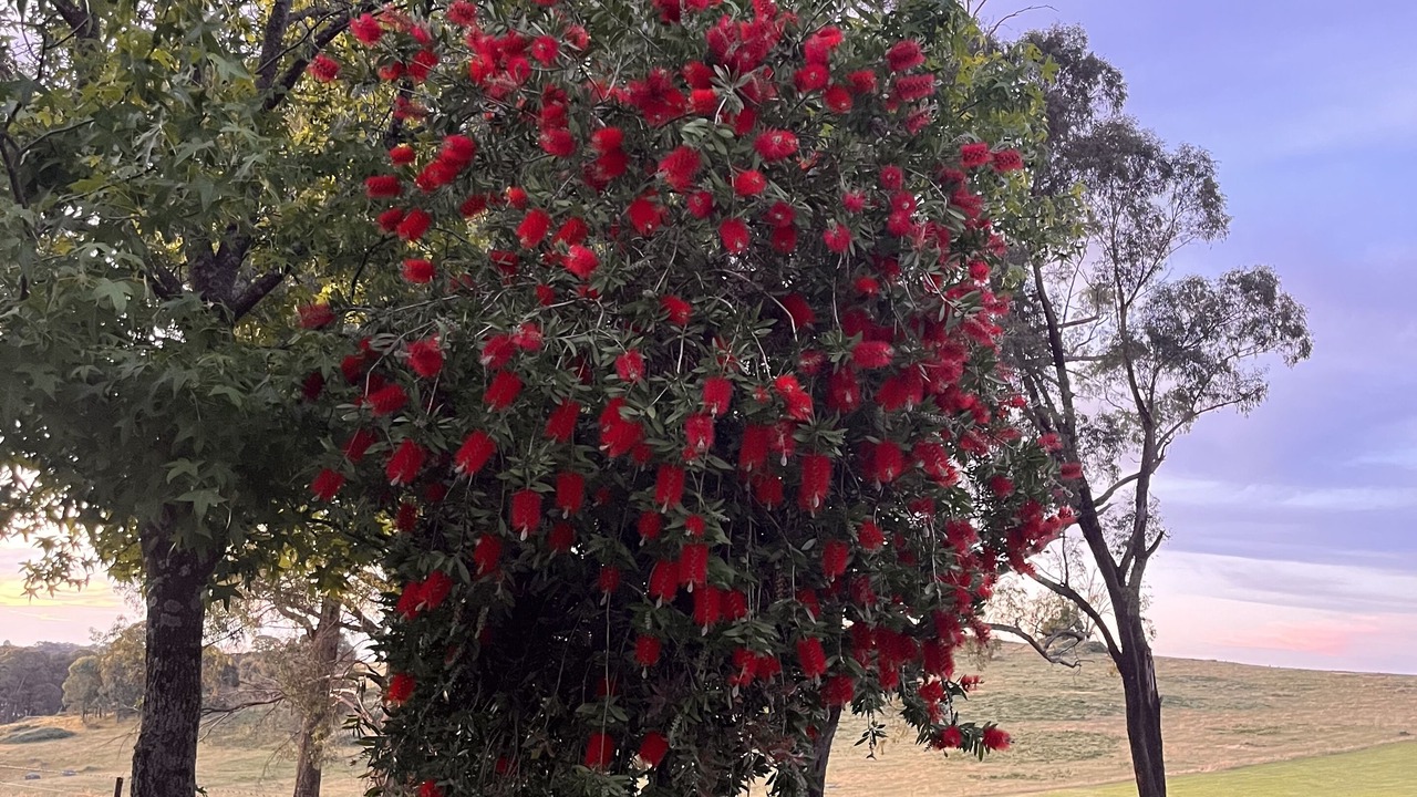 Photo of Outdoor in Boho South