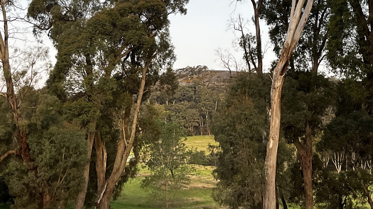 Photo of Others in Boho South