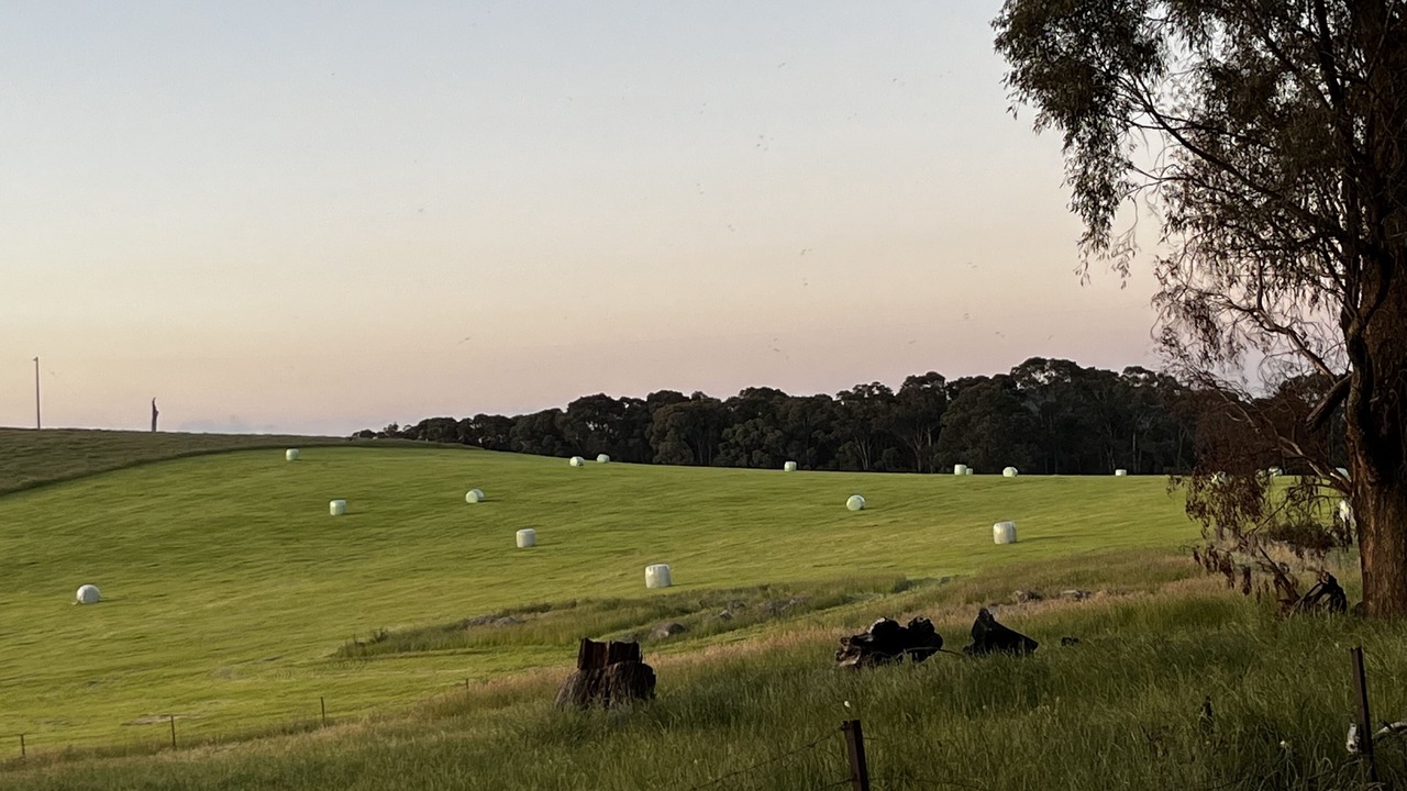 Photo of Others in Boho South