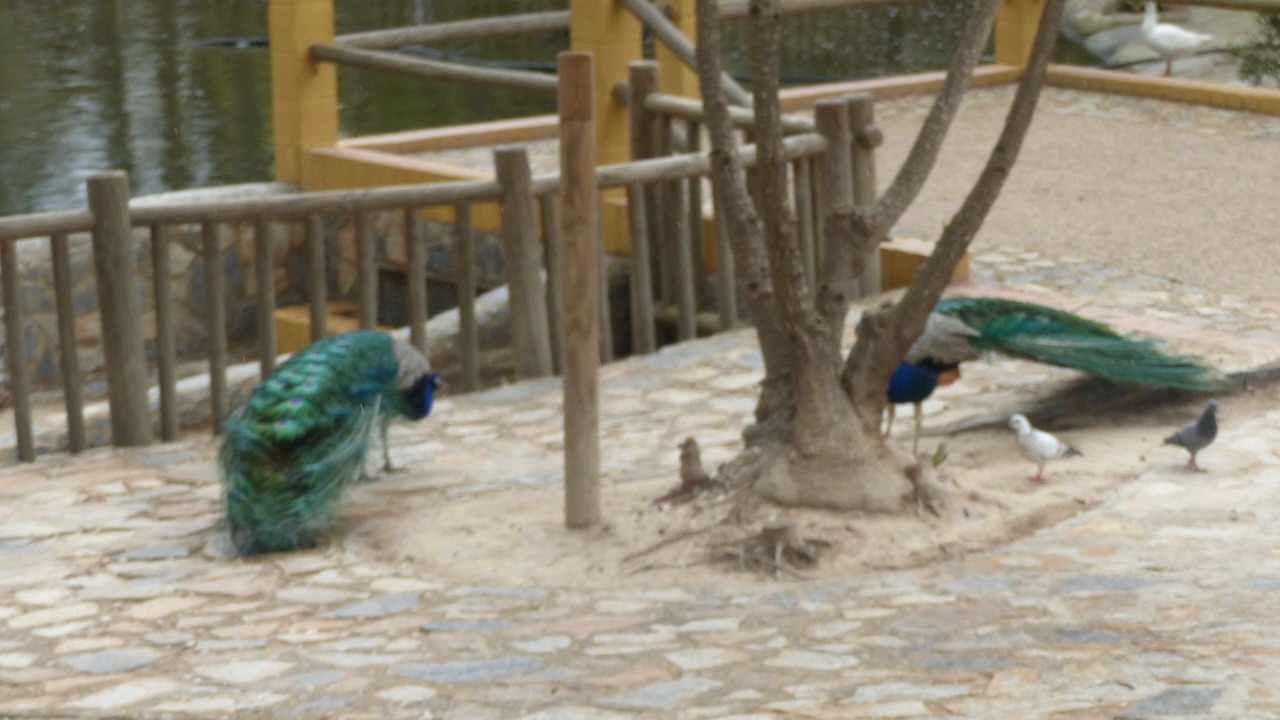 Photo of Outdoor in Guardamar del Segura