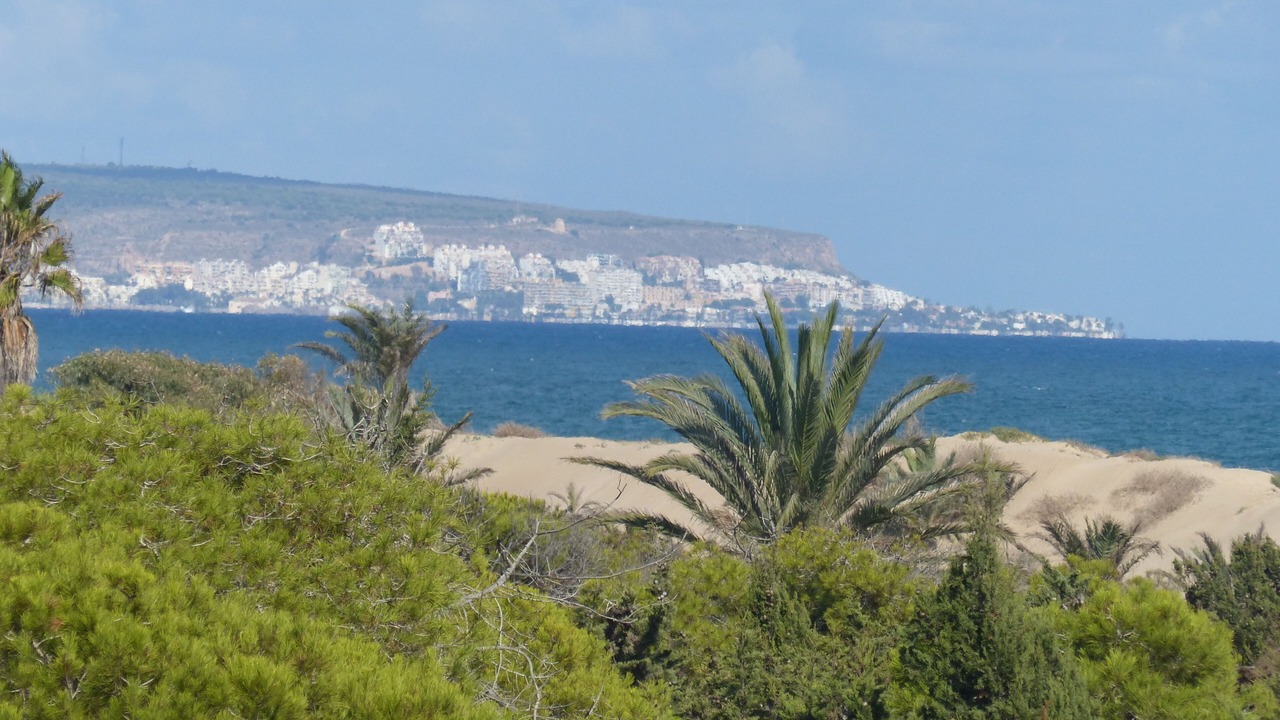 Photo of Others in Guardamar del Segura