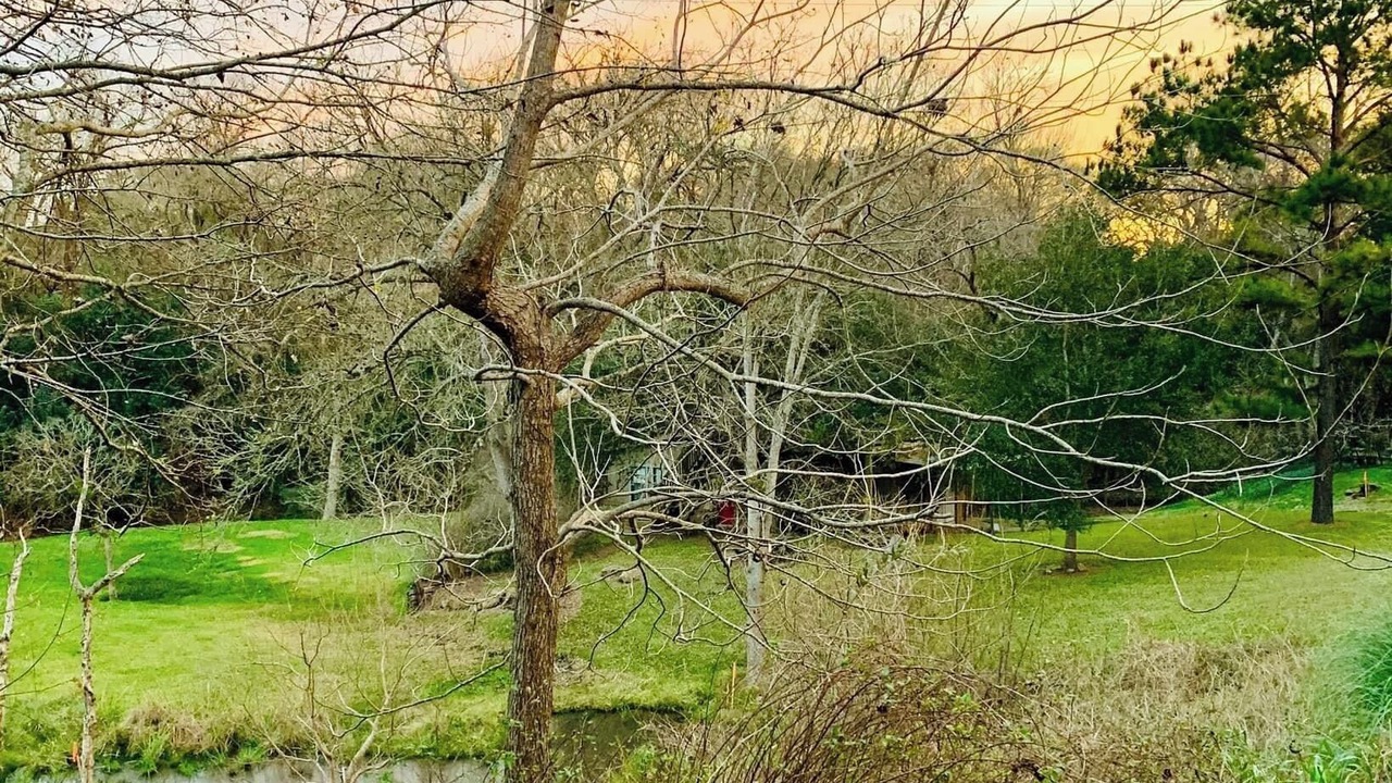 Photo of Outdoor in Chappell Hill