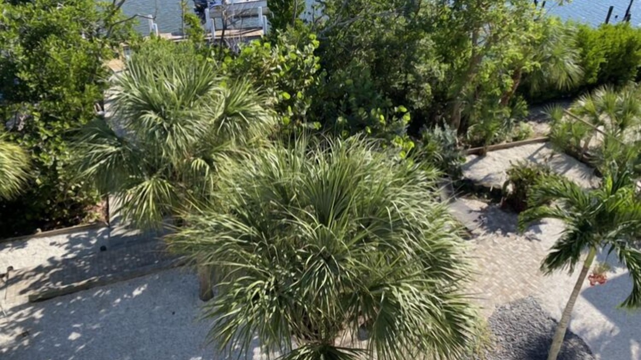 Photo of Others in Palm Island