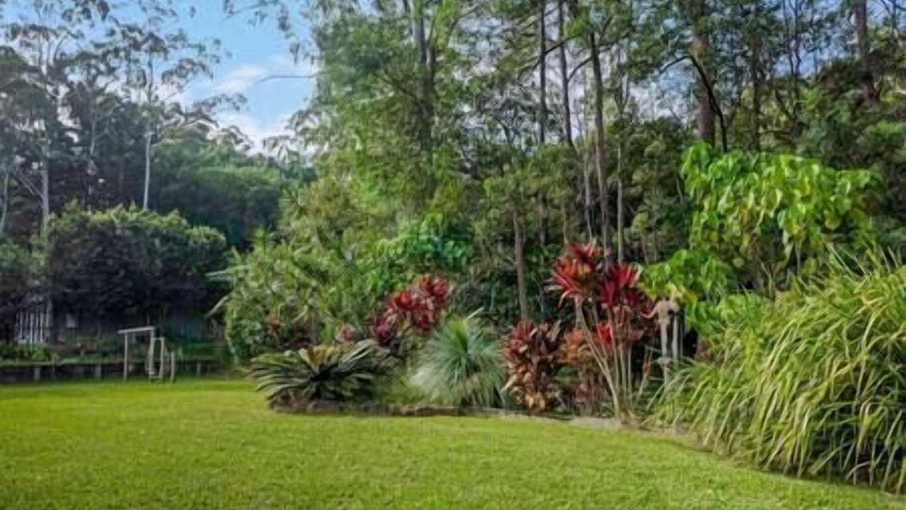 Photo of Others in Mullumbimby Creek