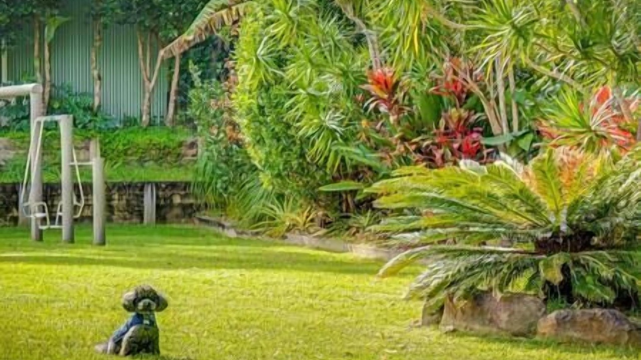 Photo of Others in Mullumbimby Creek