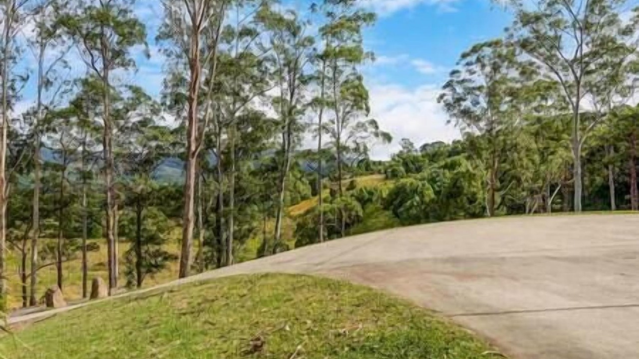 Photo of Others in Mullumbimby Creek