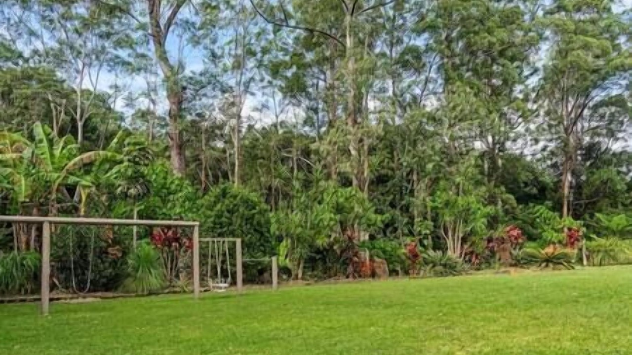 Photo of Others in Mullumbimby Creek