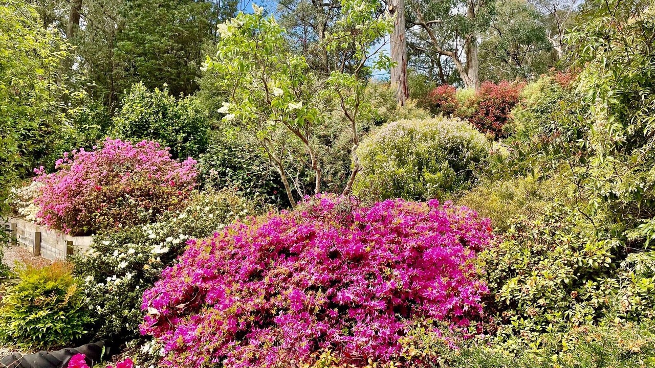 Photo of Outdoor in East Warburton