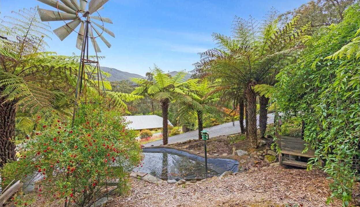 Photo of Outdoor in East Warburton