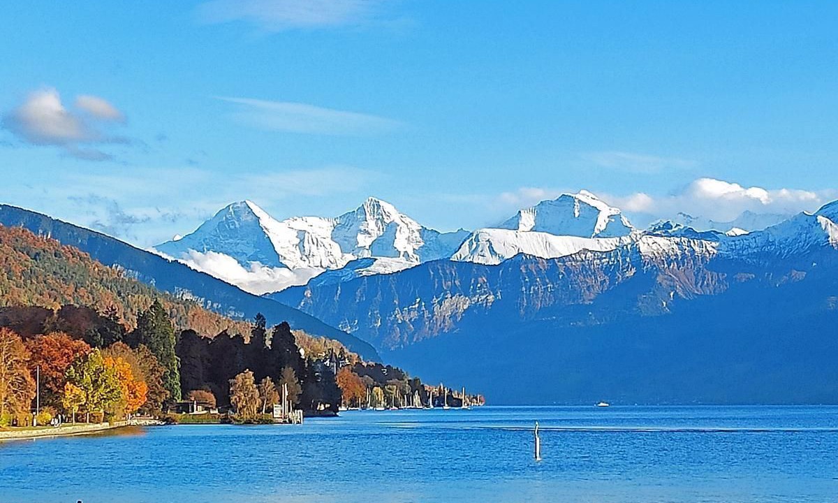 Photo of Others in Wilderswil