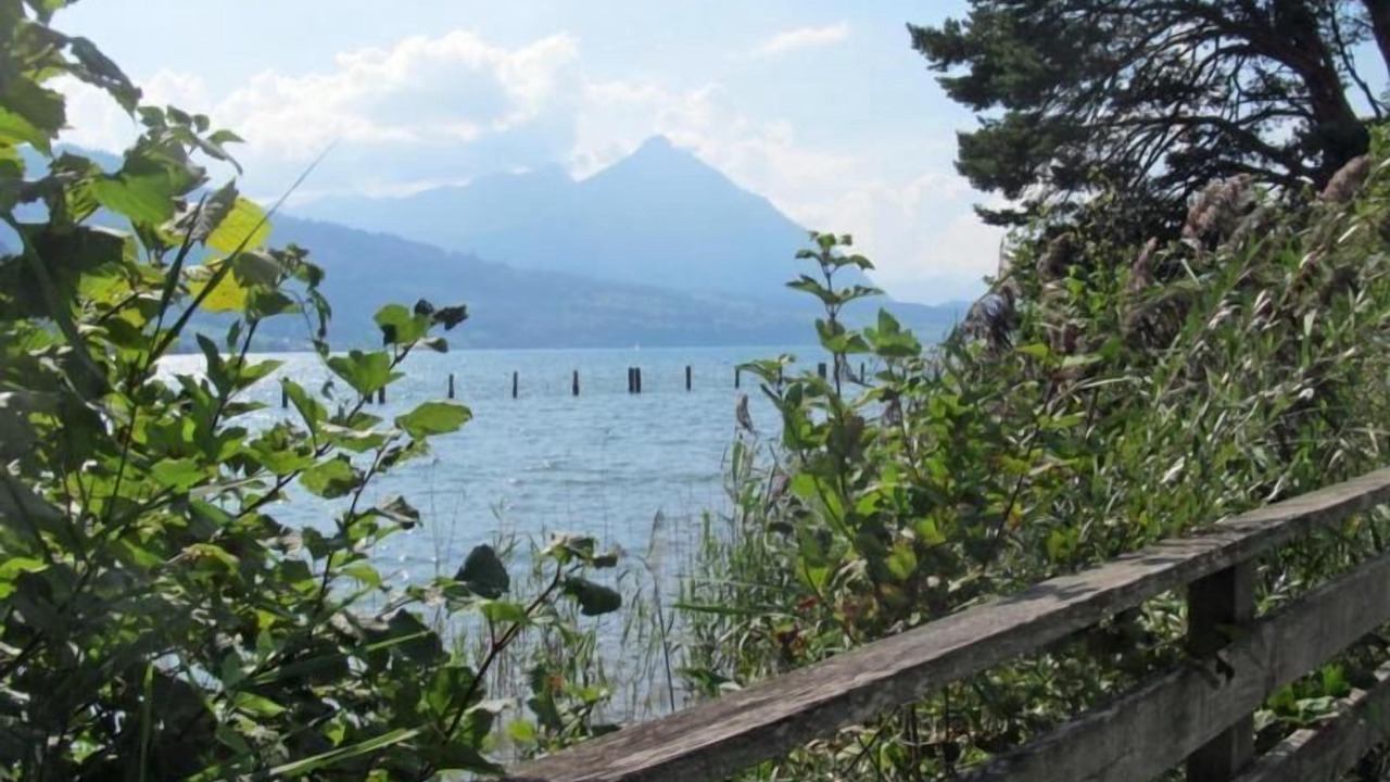 Photo of Outdoor in Wilderswil