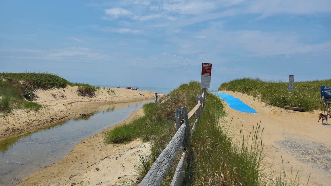 Photo of Others in North Eastham