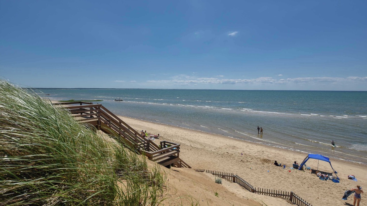 Photo of Others in North Eastham