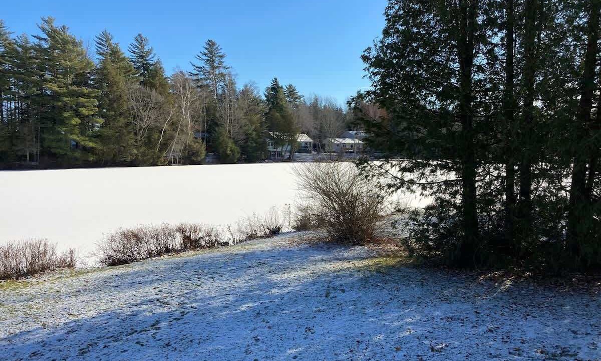 Photo of Others in Lincoln