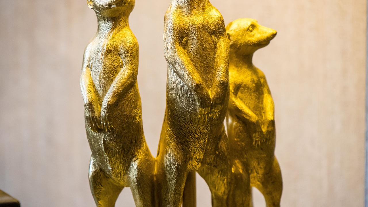 Photo of Others in Hesdin