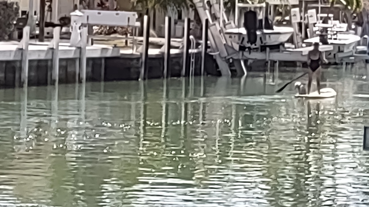 Photo of Others in Lower Matecumbe Beach