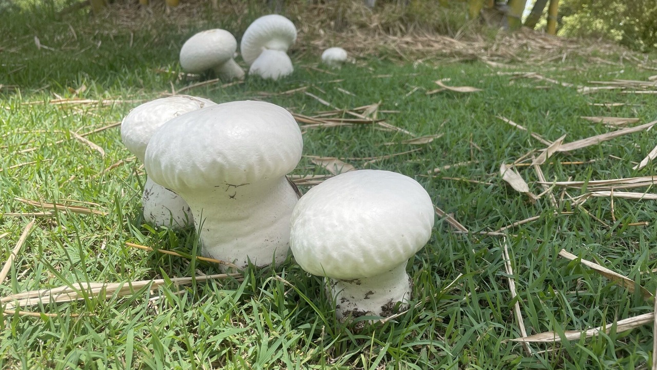 Photo of Outdoor in Main Arm