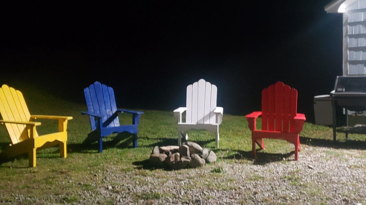 Photo of Others in Cape Saint Marys