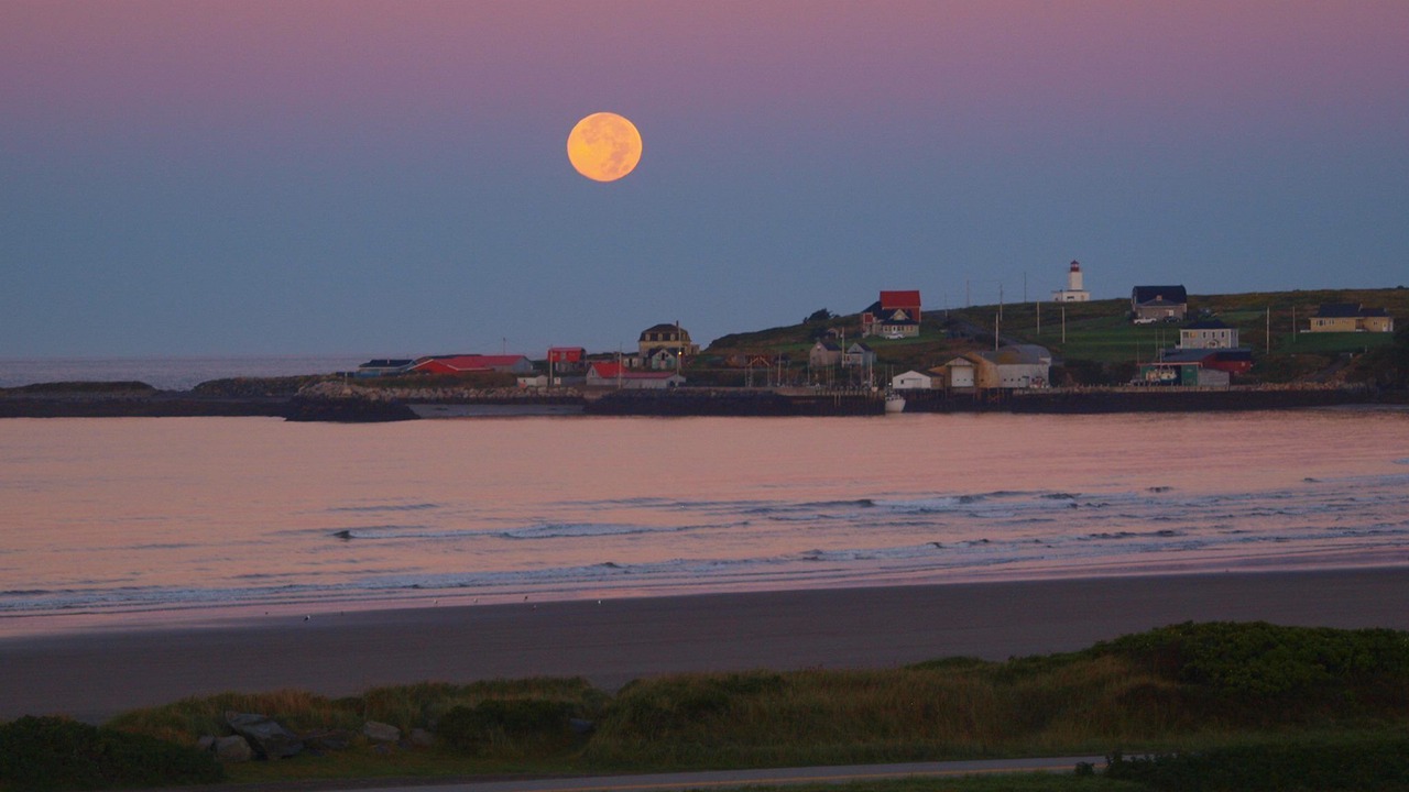 Photo of Others in Cape Saint Marys