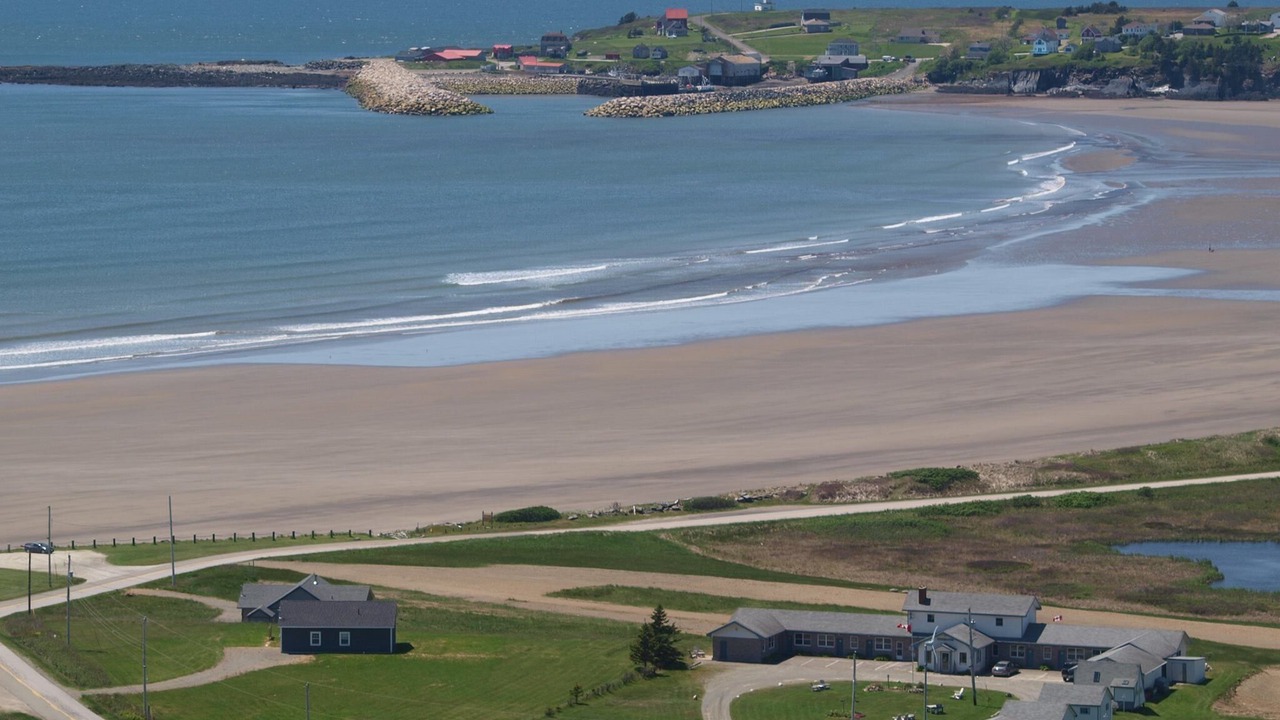 Photo of Others in Cape Saint Marys