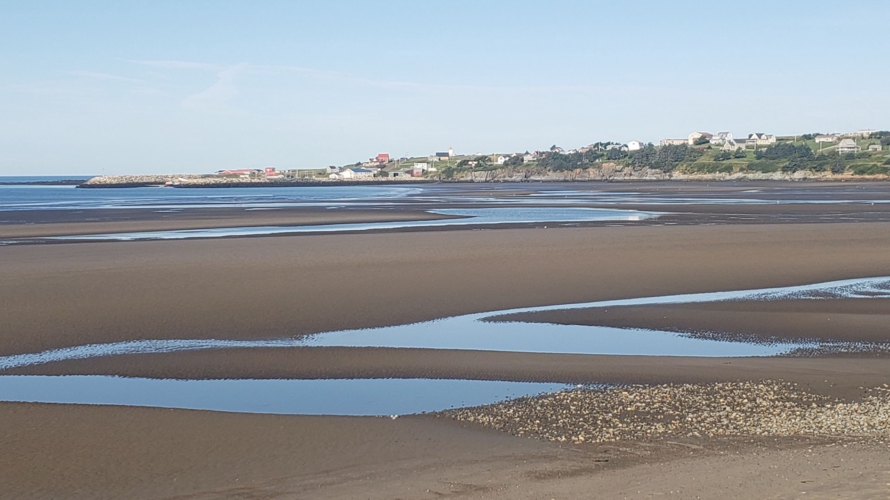 Photo of Others in Cape Saint Marys