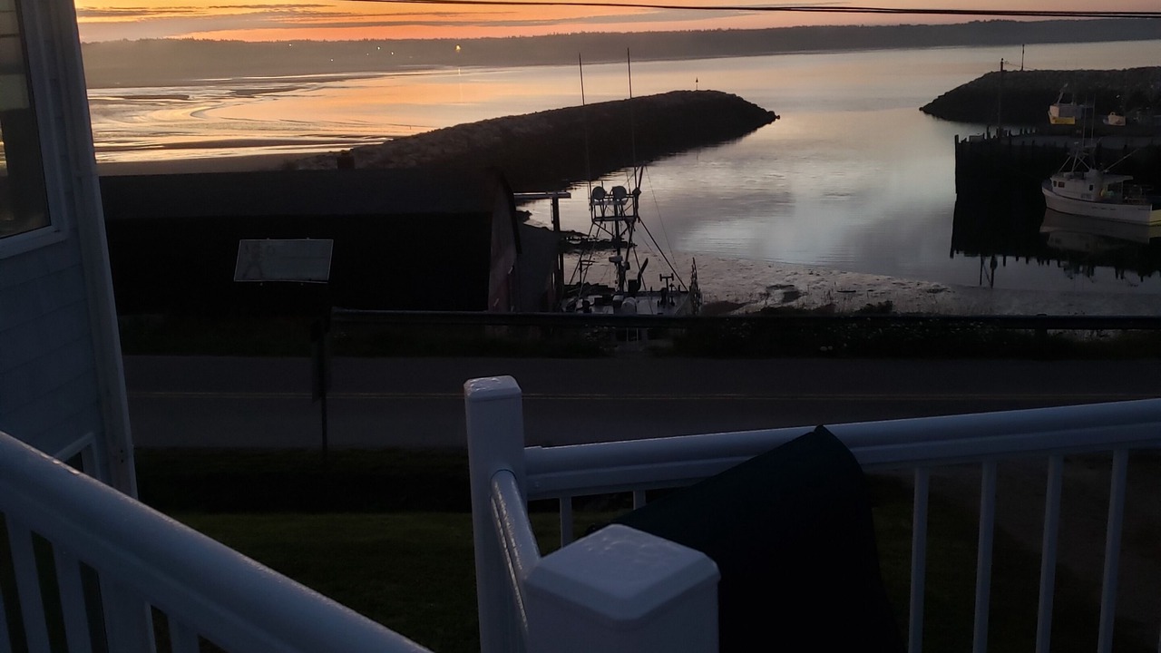 Photo of Others in Cape Saint Marys