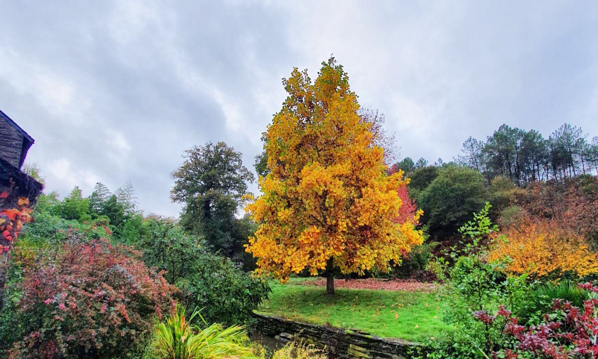 Photo of Outdoor in Saint-Just