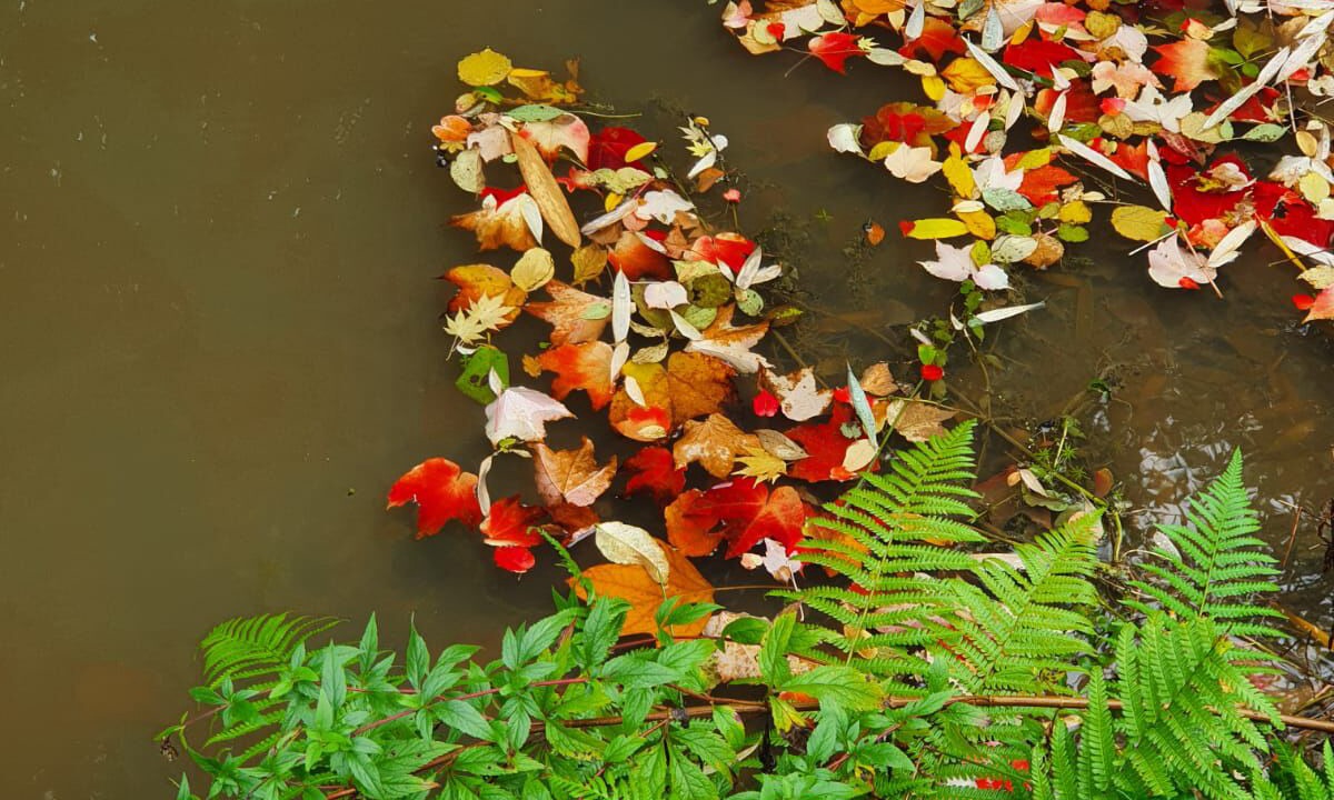 Photo of Outdoor in Saint-Just