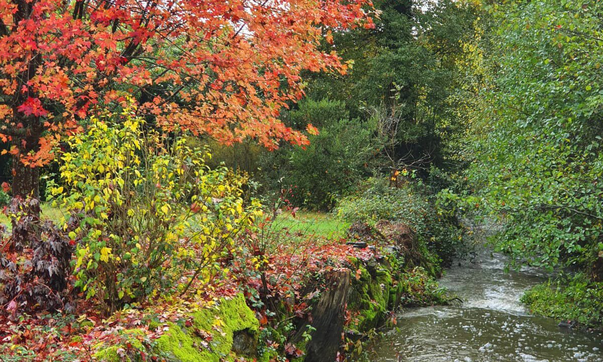 Photo of Outdoor in Saint-Just