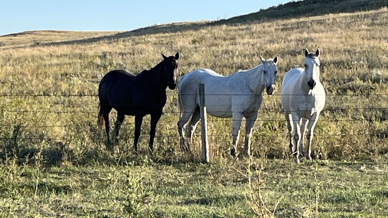 Photo of Others in Scenic