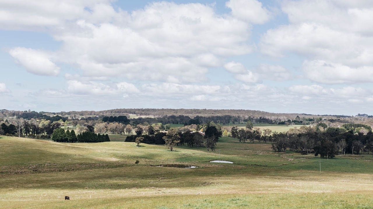 Photo of Others in Moss Vale