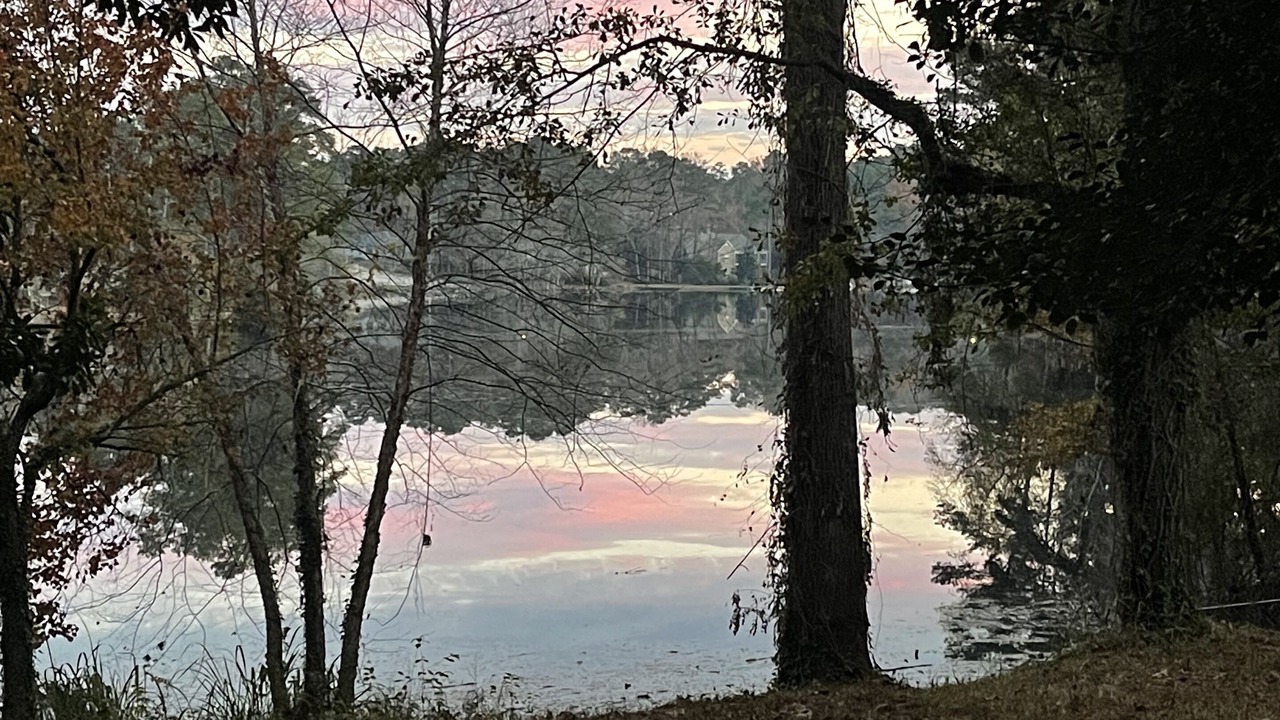 Photo of Outdoor in Forest Acres
