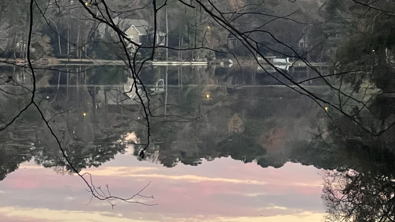 Photo of Others in Forest Acres