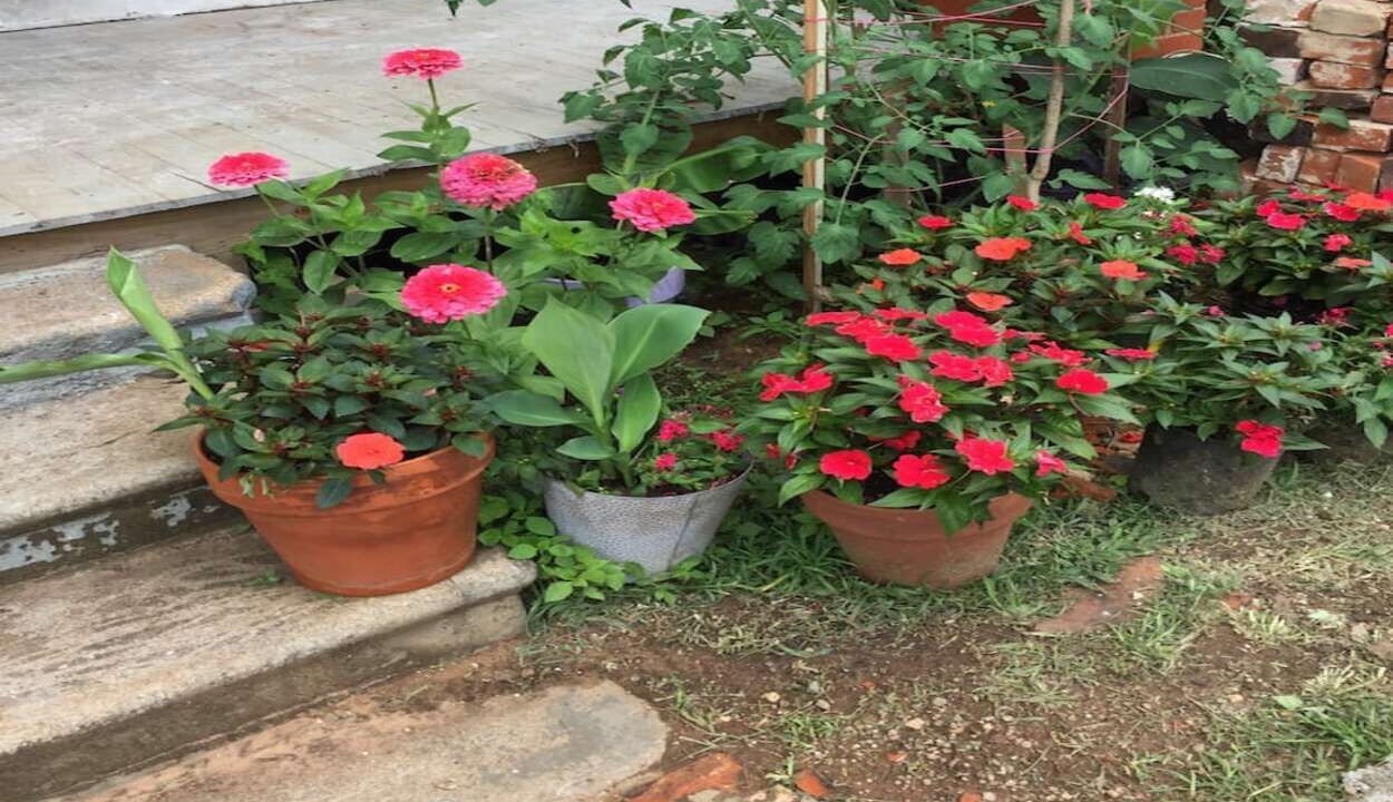 Photo of Outdoor in Nacogdoches