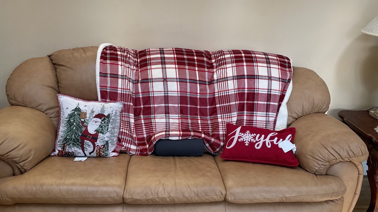 Photo of Livingroom in Southeast Raleigh