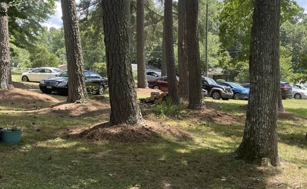 Photo of Outdoor in Southeast Raleigh