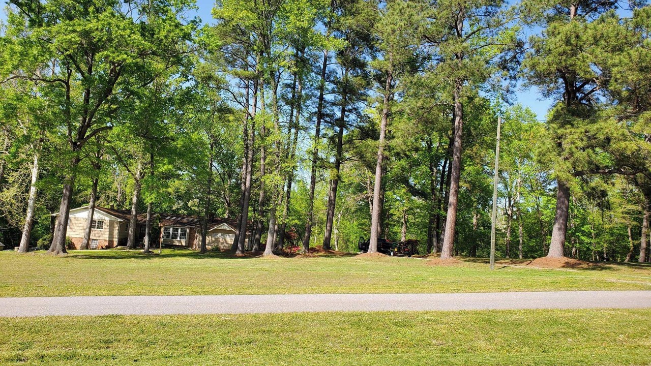 Photo of Others in Southeast Raleigh