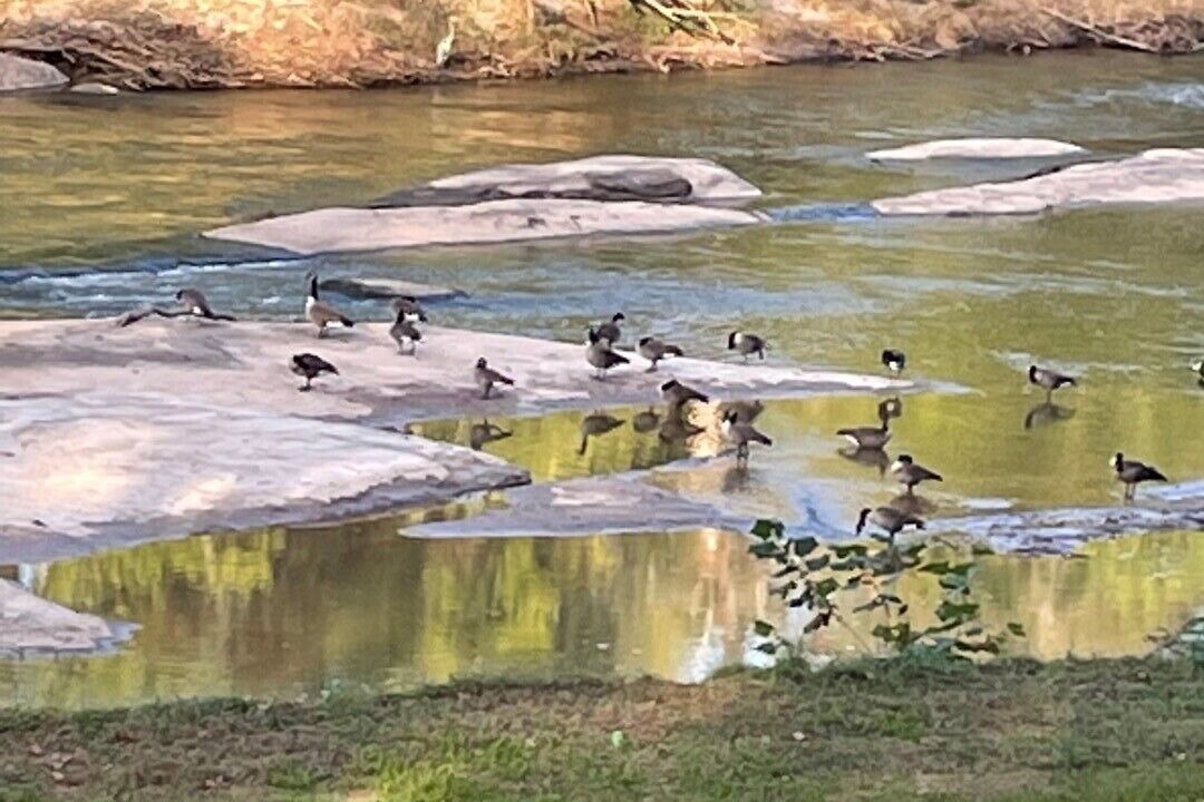 Photo of Others in Southeast Raleigh
