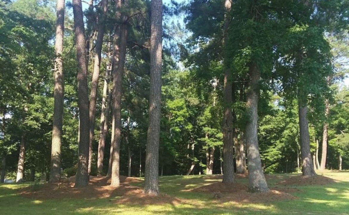 Photo of Others in Southeast Raleigh