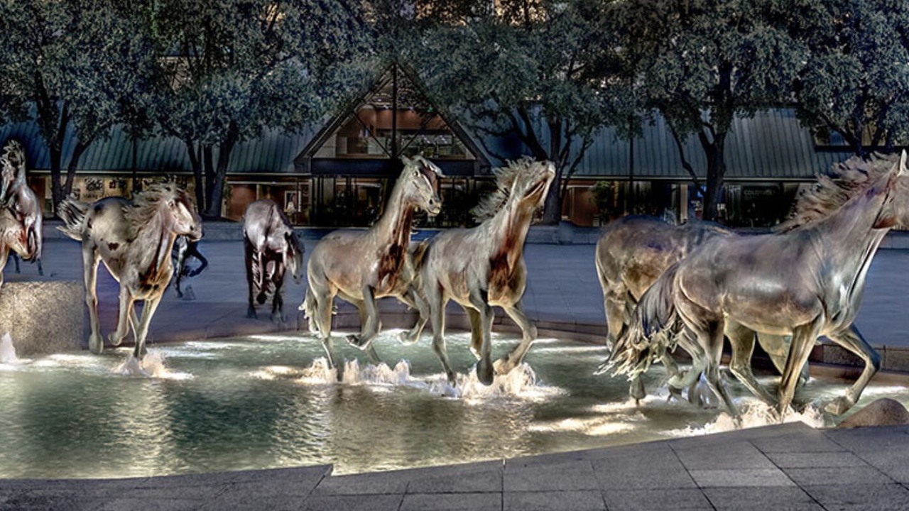 Photo of Outdoor in Las Colinas